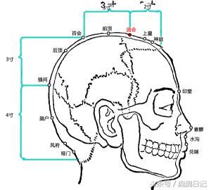 囪會穴|人體穴位大全——囟會穴：頭痛、目眩、面赤暴腫、鼻。